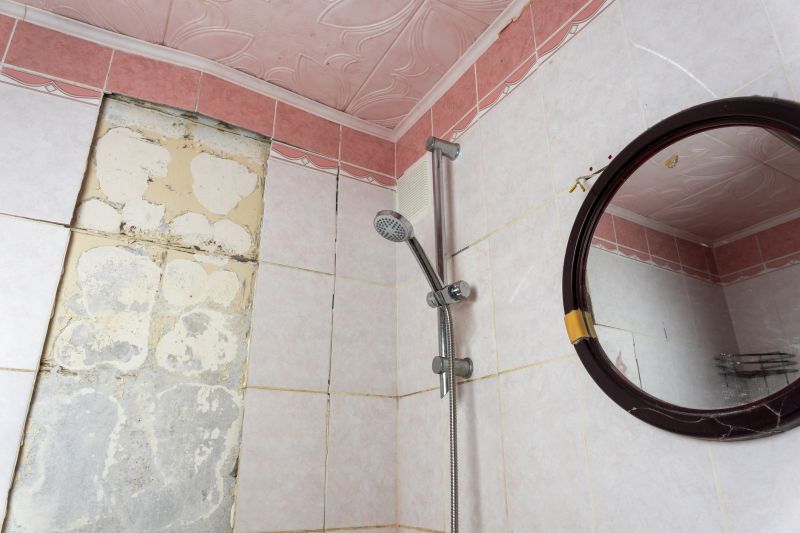 Top Shower Remodeling Companies in Helotes, TX