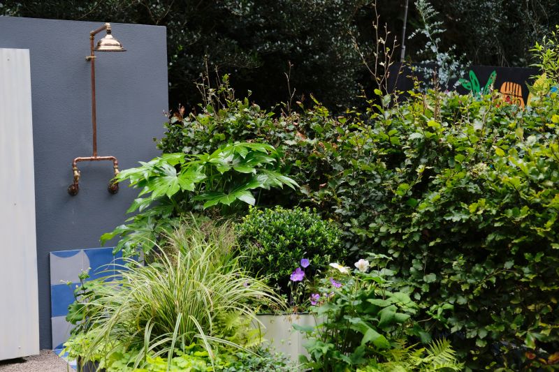 Top Shower Remodeling Companies in Spring Branch, TX