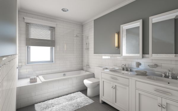 Cost of Restroom Remodeling in Boerne
